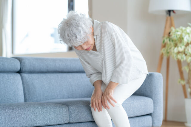 お膝の調子はいかがですか？🌿